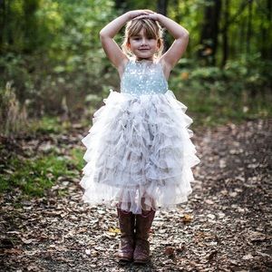 Enchanted Shimmer Designs Ombré Tutu Dress